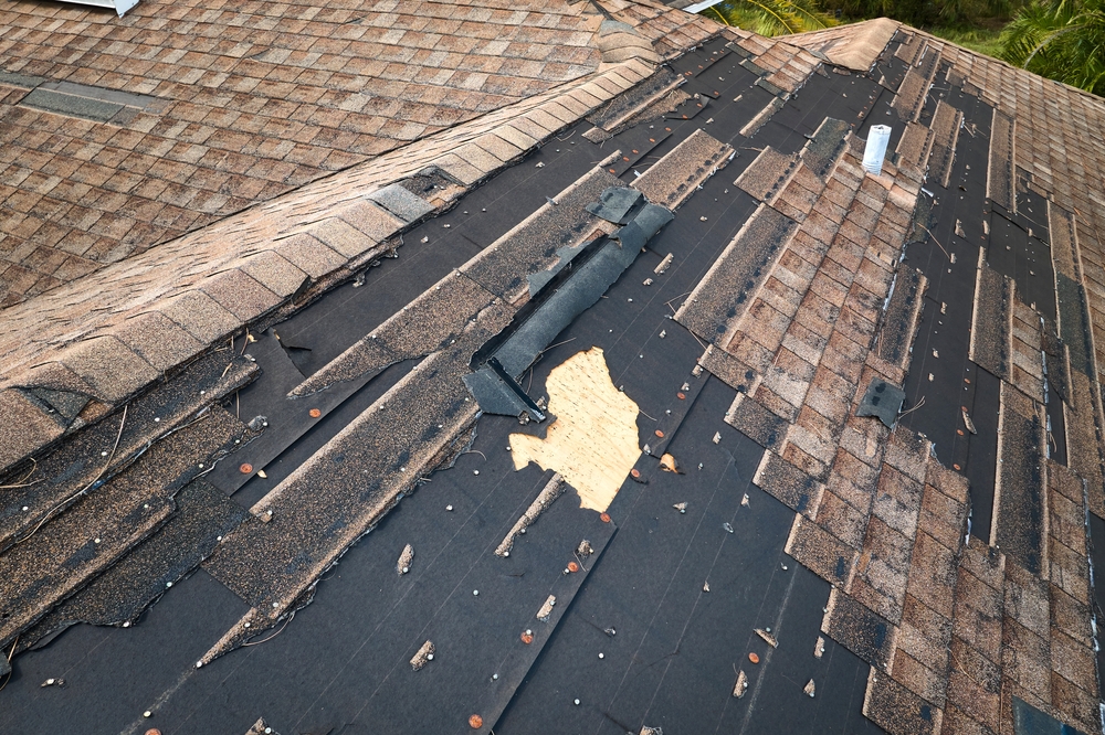 Read more about the article From Gust to Trust: Wind Damage Restoration Tips